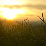 New Insurance Guidelines: What Every American Should Know for 2024!