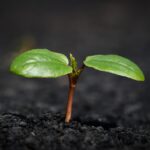 Mortgage Rates Soar: What It Means for Homebuyers in 2023