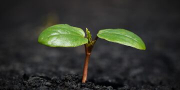 Mortgage Rates Soar: What It Means for Homebuyers in 2023