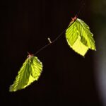 Unlocking Wealth: Top 5 Risk-Reward Investments to Explore This Fall